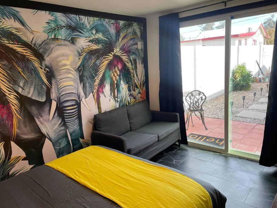 Your Tiny Downtown Home With Backyard Unit D Phoenix Exterior photo